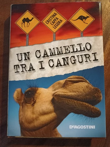 Cammello tra canguri - un, i