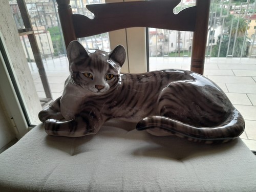 Grande gatto soriano grigio - , in