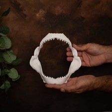 Tiger Shark Jaws 20cm 3d printed Replica Model PLA+ White One Piece