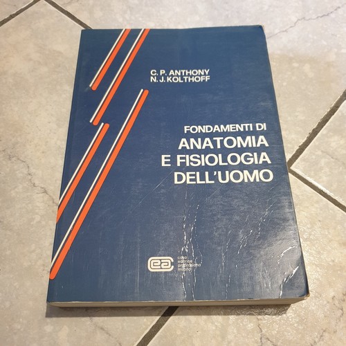 Fondamenti anatomia e - fondamenti,