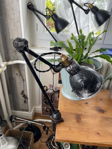 Lampe ajustable gras 204 - ajustable,