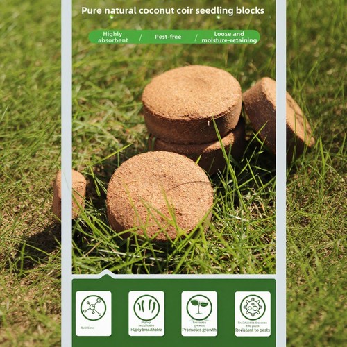 Blocchi nutrienti coir - 12,