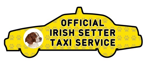 Funny irish setter - irish, taxi