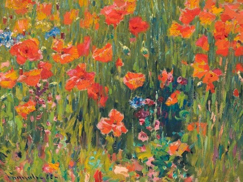 Quadro campo papaveri fiori - di,
