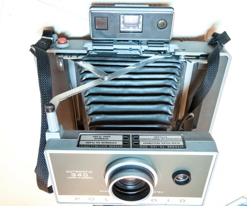 Polaroid 340 - polaroid,