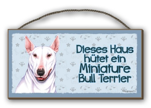 Miniature bull terrier - terrier,
