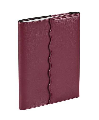 Quo vadis 062011q agenda - vadis,