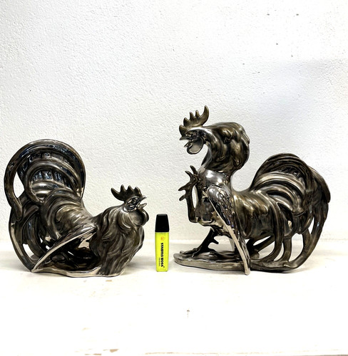 Coppia gallo zaccagnini - gallo,
