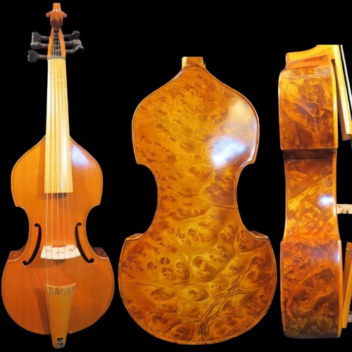 Maestro strings viola da - 6,
