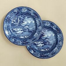 Piatti inglesi con decoro