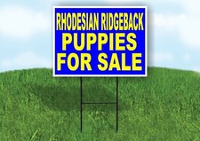 Rhodesian Ridgeback PUPPIES