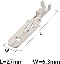 100  TERMINALI CAPOCORDA