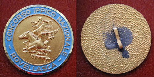 Distintivo concorso ippico - distintivo,