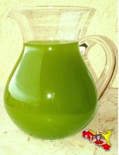 OLIO EXTRAVERGINE DI OLIVA 2025 SICILIA NOCELLARA - BELICE BIOLOGICO