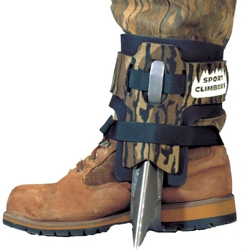 Sport climbers punte tree - -,