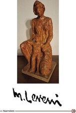 Libro - Mario Leveni  -