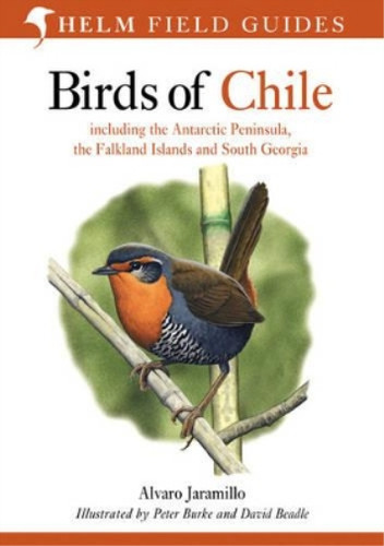 Birds chile including - of, chile: