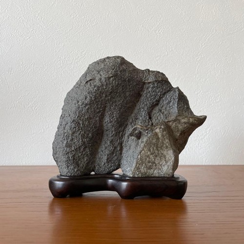 Bonsai suiseki bonseki - suiseki,