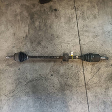 46308161 Semialbero ant