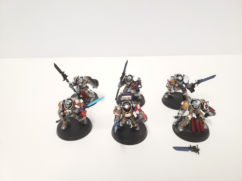 Cavalieri grigi paladini - grigi,