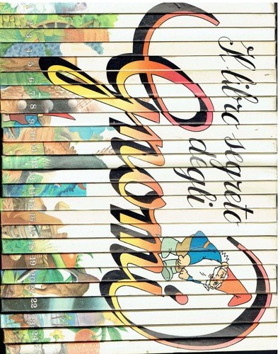 Libro segreto degli gnomi - segreto,
