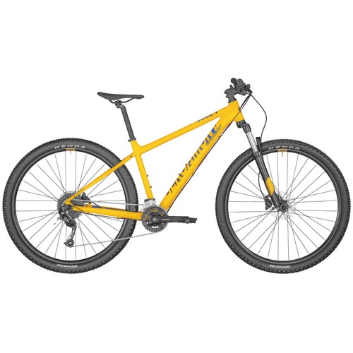 Bergamont mountain bike - mountain, 29"