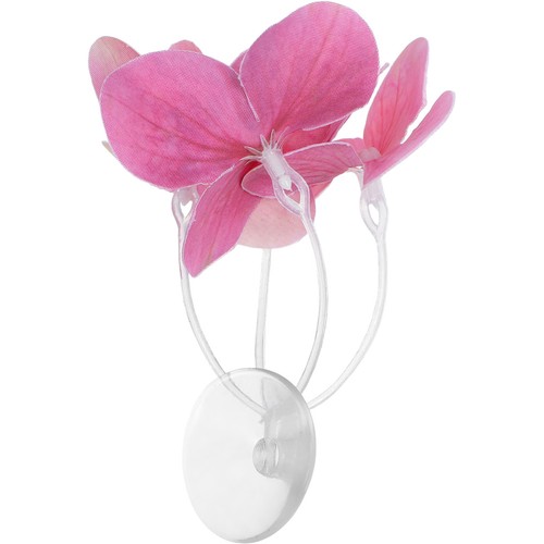 Accessori serbatoio pesci - accessori,