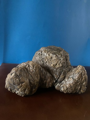 Pietra naturale suiseki