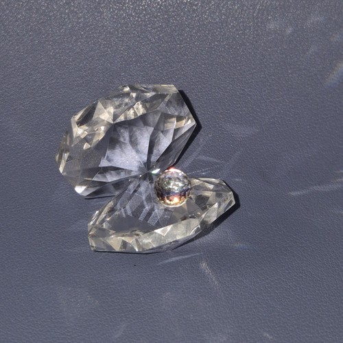 Swarovski clam shell with - swarovski,