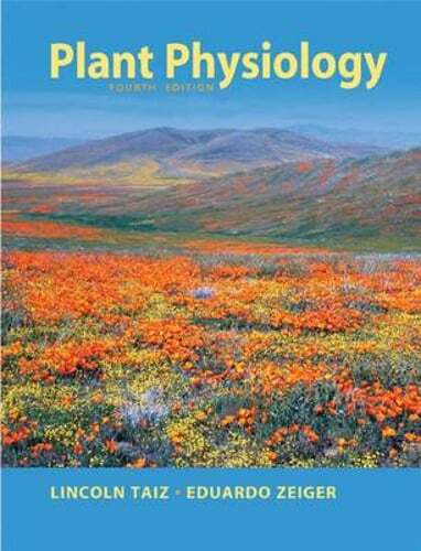 Plant physiology lincoln - by,