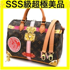 Borsa Louis Vuitton Speedy 30