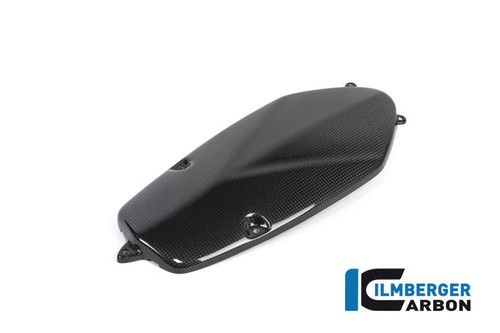 Cover alternatore carbonio - alternatore,