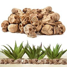 Set Teschi Resina, 20Pcs Mini Scheletro Halloween Decorazione Teschio, (o2P)