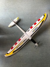 Usato E-Flight Conscendo