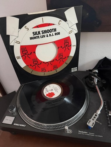 Vinile giri silk - vinile,