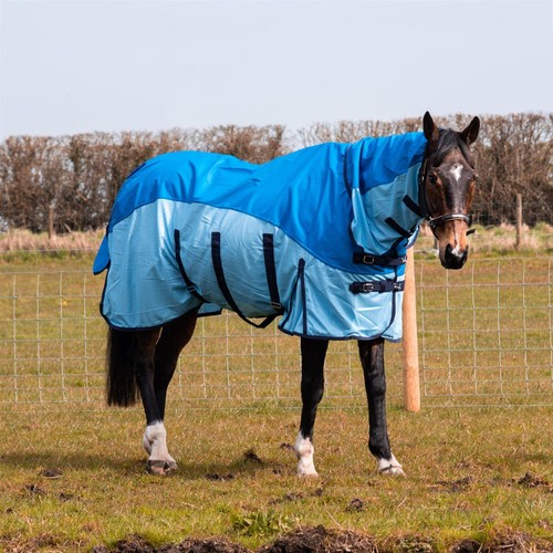 Tappeto cavallo rete affluenza