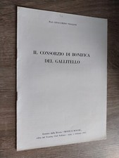 Gioacchino Viggiani ; IL