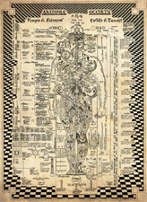 Anatomiae Occultii. Anatomia