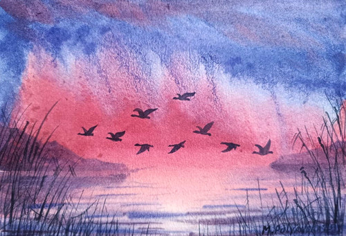 Anatre che volano cielo - anatre,