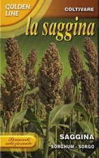 Semi seeds la saggina - /,