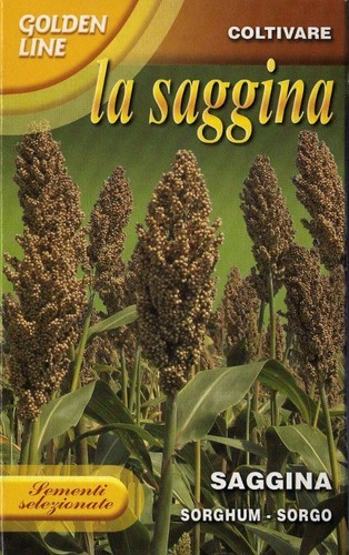 Semi seeds la saggina - /,