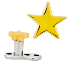 Ancoraggio in titanio 14k con parte superiore in oro 14k stella liscia dermica