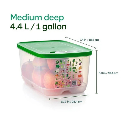 Tupperware fridgesmart medium - fridgesmart,