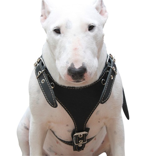 Imbracatura per cani vera - in,