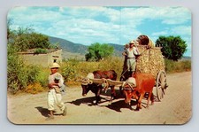 Cartolina d'epoca Oaxaca