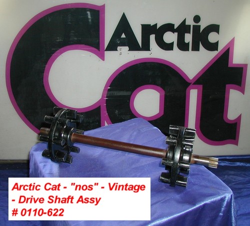 Motoslitta gatto artico guida