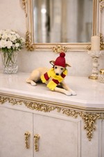 Ornamento cane-Next Natural