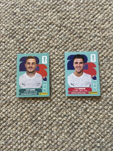 Figurine calciatori panini - figurine,