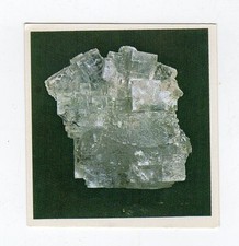 figurina CONOSCERE EDIS NUMERO