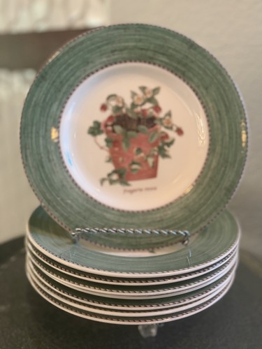 Piatti insalata wedgwood - insalata,